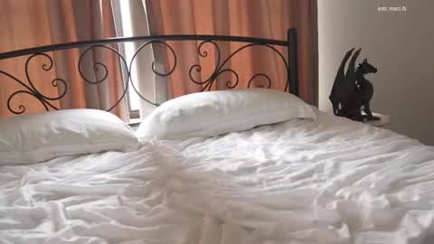 Alissa online show from February 19, 10:23 am