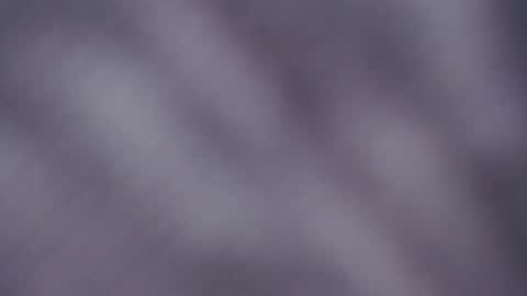 allise online show from December 22, 2:30 am