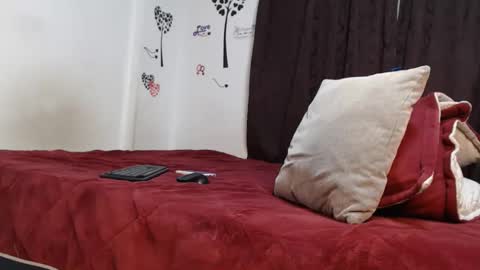 Snapshot of allyka_transsm chatting on December 27, 2:47 am Allyka online show from December 27, 2:47 am