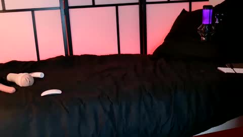 Snapshot of allys_secret chatting on December 3, 8:17 pm Call me Ally online show from December 3, 8:17 pm