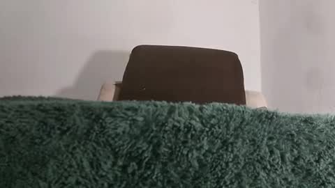 Snapshot of alotofcream chatting on November 21, 5:28 am alotofcream4u online show from November 21, 5:28 am