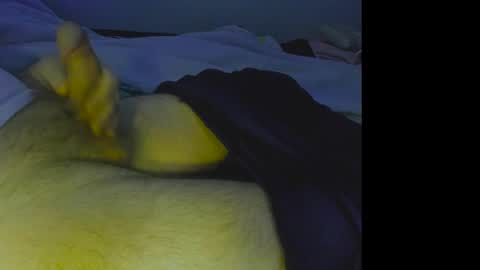 alphablue_wolf1295 online show from December 4, 7:06 am