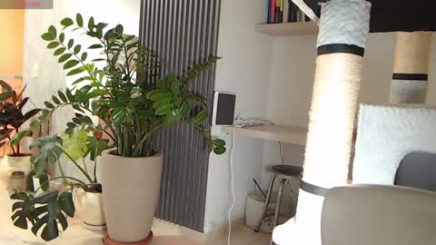 Ambar online show from January 22, 4:02 am