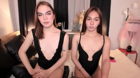 BIGCOCK AMBER online show from December 2, 11:04 am