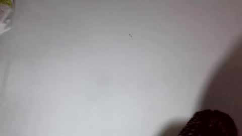 amelisy20005 online show from February 22, 6:46 am