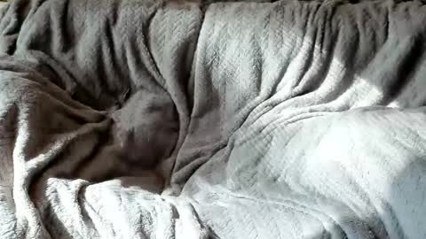 Olive  Walter online show from October 24, 5:42 pm