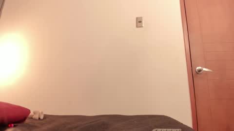 ammytorrez_ online show from September 11, 11:32 am