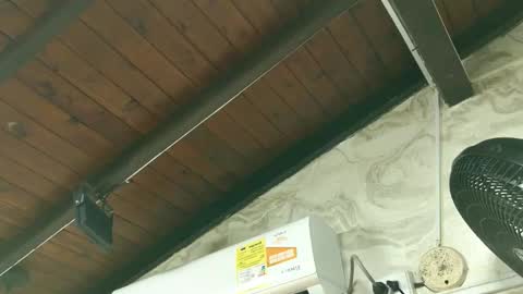 Snapshot of amy_greenee chatting on March 1, 11:34 am amy_greenee online show from March 1, 11:34 am