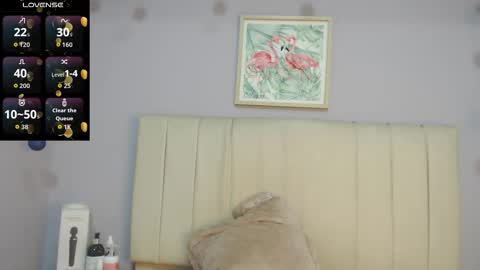 Amy online show from February 26, 1:43 pm