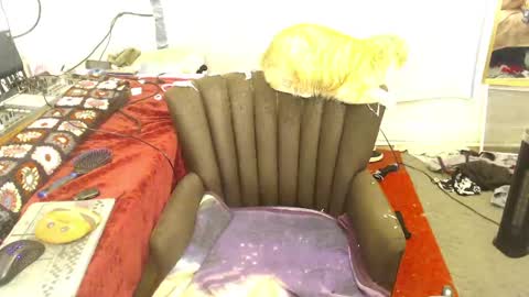 Trashely Gimpson online show from April 14, 8:09 am