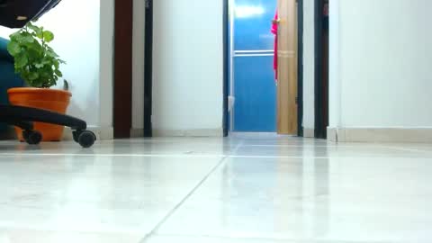 Snapshot of anaids_dam chatting on January 1, 4:18 am anaids online show from January 1, 4:18 am