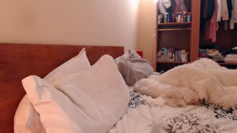 Andra online show from February 25, 4:10 pm