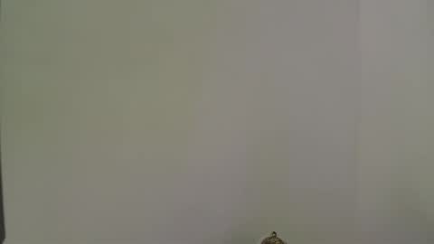 andres_stud online show from October 13, 4:34 am