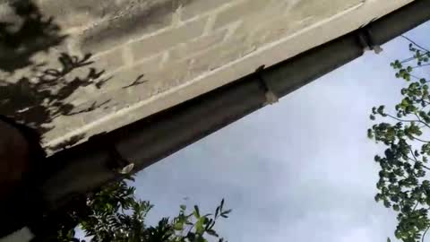 andrew online show from September 14, 8:30 pm