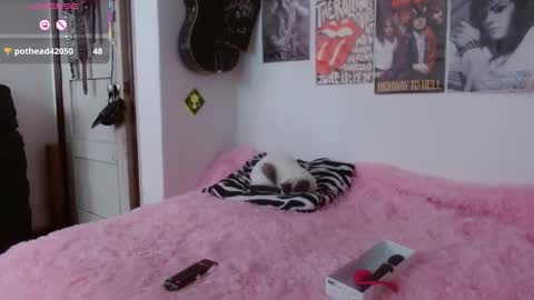 andy online show from November 6, 2:29 pm