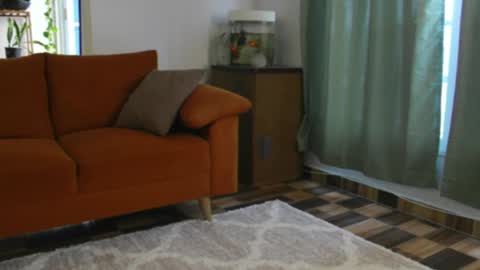 Cherry online show from April 20, 12:30 pm