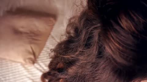 Angelica online show from January 20, 10:40 am