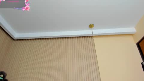 Snapshot of angeline__cute chatting on November 12, 12:05 pm angeline online show from November 12, 12:05 pm