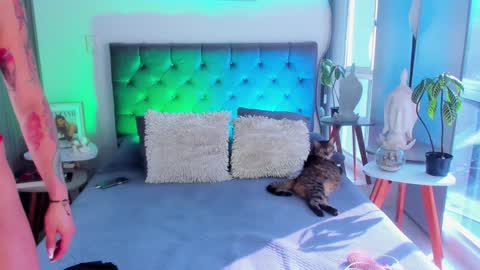 Angel online show from January 31, 1:23 pm