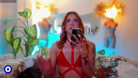 Angel online show from December 1, 12:54 pm