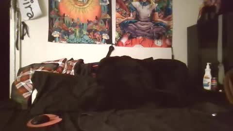 Snapshot of angelshempire420 chatting on February 8, 5:33 am Angel and Mark online show from February 8, 5:33 am