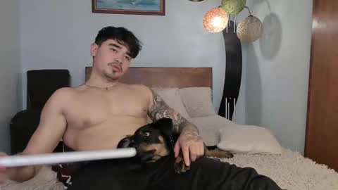 Angel Fox online show from December 3, 6:17 pm