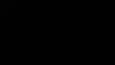 Angel Fox online show from December 5, 3:37 am