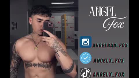 Angel Fox online show from September 29, 9:47 am