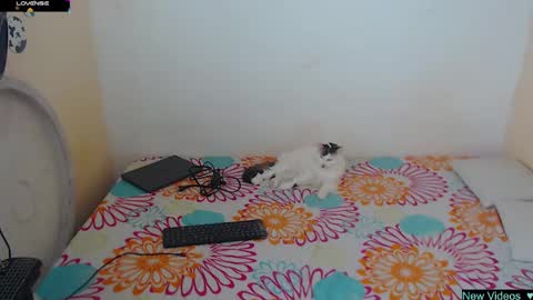 Snapshot of angielee01 chatting on January 20, 1:11 pm Angie y Andres online show from January 20, 1:11 pm
