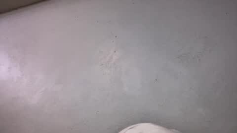 Snapshot of animeboygirls chatting on October 19, 6:36 am Animeboygirls online show from October 19, 6:36 am