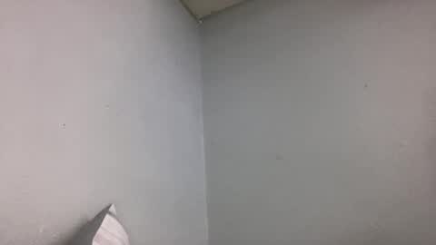 Animeboygirls online show from December 23, 4:54 am