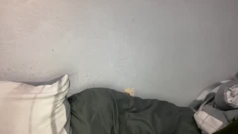 Animeboygirls online show from January 19, 4:49 am