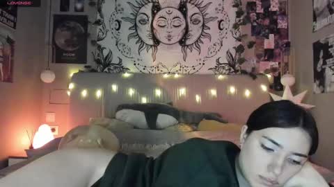 Anisa Moan from LovenseWet from Tip MenuOpen for Private online show from February 5, 7:31 pm