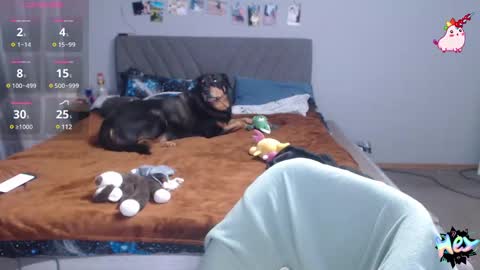 Snapshot of anna_ana chatting on February 25, 7:03 pm Anadirectgirl online show from February 25, 7:03 pm