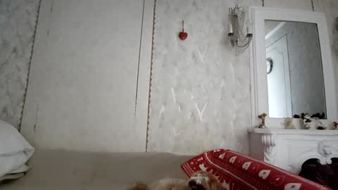 Snapshot of annagoldy3 chatting on December 4, 6:23 am Anna online show from December 4, 6:23 am