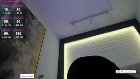 ANNIE online show from January 10, 11:45 am