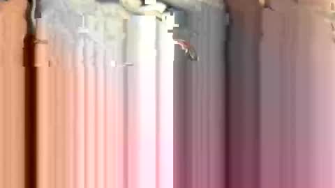 anonymous82389 online show from November 15, 4:03 pm