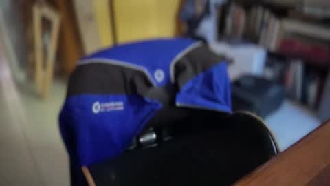 ansal1001 online show from April 23, 12:29 pm