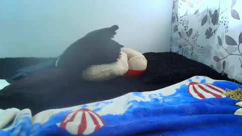 Snapshot of antonella0769 chatting on February 5, 5:09 pm ANTONELLA WILLIAM INDEPENDIENTE online show from February 5, 5:09 pm