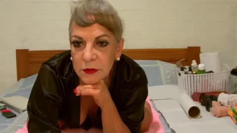 Snapshot of any_cat chatting on December 24, 8:55 am ANY CAT online show from December 24, 8:55 am