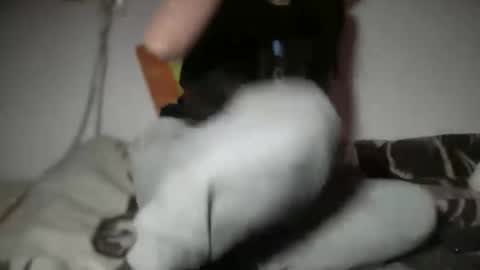 aphr0dite22 online show from January 6, 3:16 pm