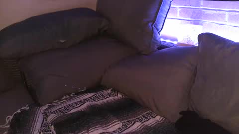 Shy Happy Pair online show from September 25, 7:56 am