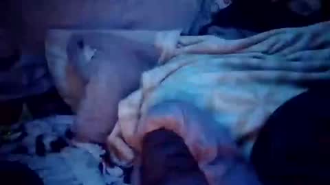 Snapshot of apocolypseanomaly chatting on December 16, 12:49 pm apocolypseanomaly online show from December 16, 12:49 pm