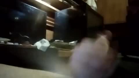 Snapshot of apocolypseanomaly chatting on January 3, 10:52 am apocolypseanomaly online show from January 3, 10:52 am