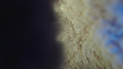 Snapshot of apriil_3 chatting on February 5, 5:09 am Abril Freelance Model online show from February 5, 5:09 am