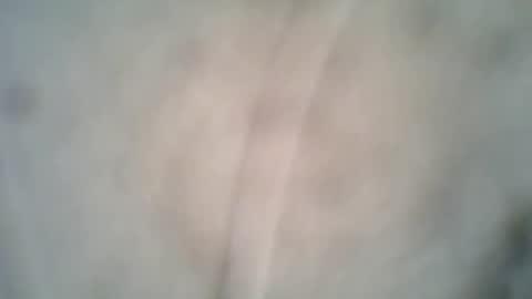 Snapshot of archkeinzas chatting on October 8, 6:38 pm olo online show from October 8, 6:38 pm