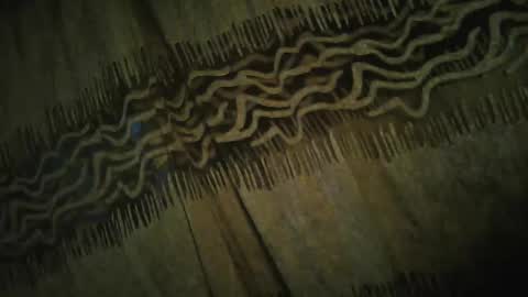 Snapshot of archkeinzas chatting on November 24, 4:34 am olo online show from November 24, 4:34 am