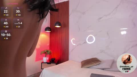 Snapshot of ardent__ chatting on December 4, 2:48 pm online show from December 4, 2:48 pm