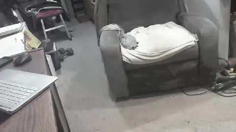 arealshowoff online show from March 22, 12:08 pm