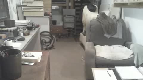 arealshowoff online show from April 16, 3:24 pm